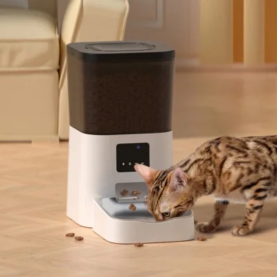 Dudupet Real-world use · feeder